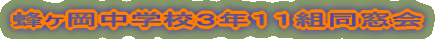 IwZRNPPg