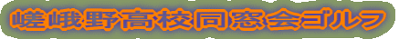 썂ZSt
